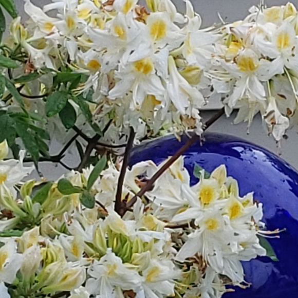 Meet your Posher, Mary - Picture 7 of 16